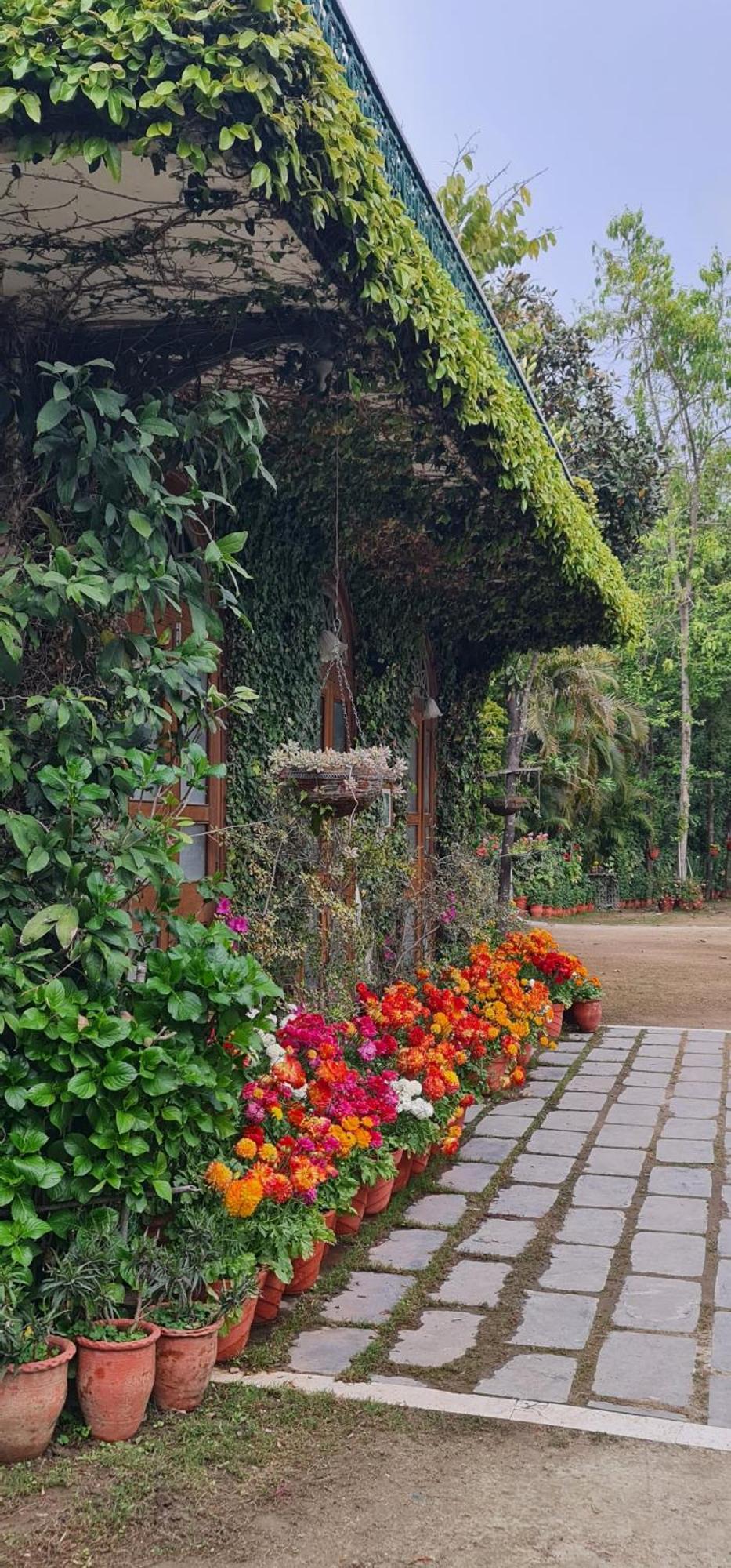 Shaheen Bagh - A Luxury Boutique Resort & Spa Rajpur Ngoại thất bức ảnh
